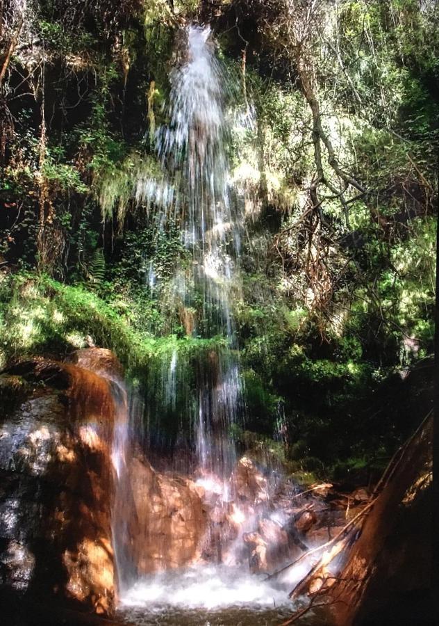 Mecina Fondales Apartamento El Refugio De Mecina מראה חיצוני תמונה