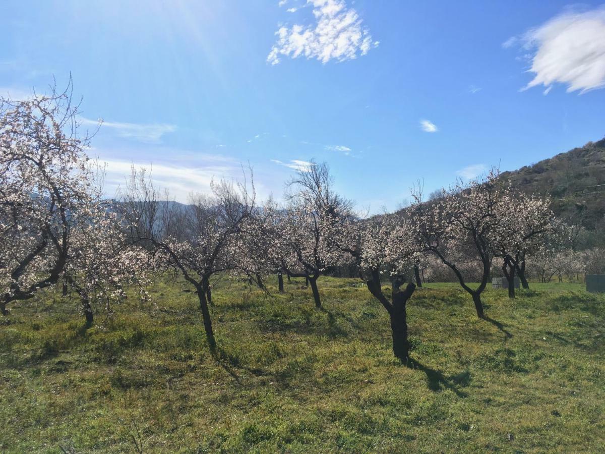 Mecina Fondales Apartamento El Refugio De Mecina מראה חיצוני תמונה